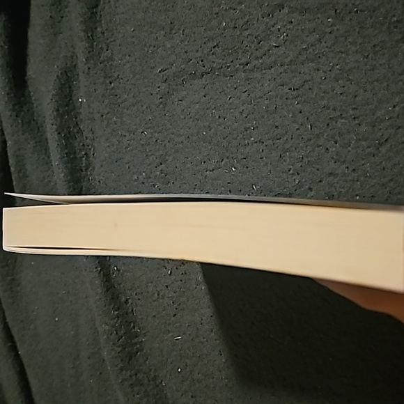 A Blaze of Sun - Picture 3 of 5